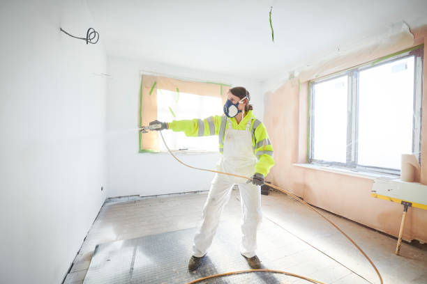 Best Black Mold Removal  in Midway, NC